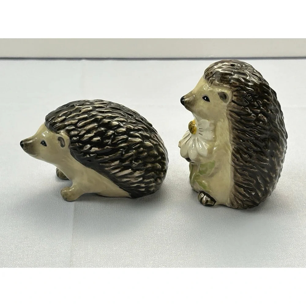 Ceramic Hedgehog Salt & Pepper Shaker Set Woodland Daisy Cottagecore Decor